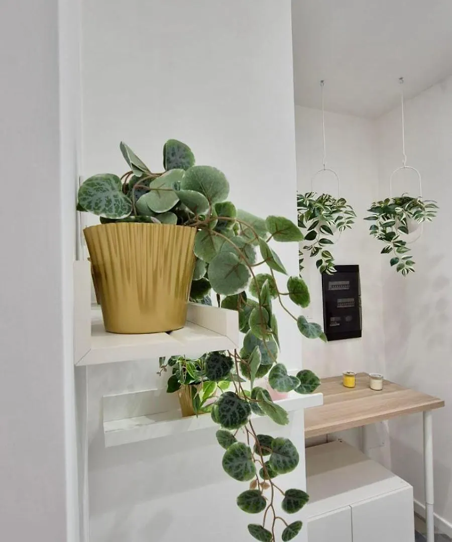 Guest house B&B Allegrianapoletana Naples